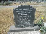 MABELANE Makgaula Slabert 1981-1996