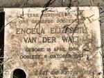 WALT Engela Elizabeth, van der 1958-1967
