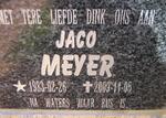 MEYER Jaco 1983-2009