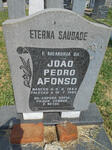 AFONSO Joao Pedro 1944-1995