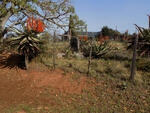 Western Cape, MOSSEL BAY district, Moordkuyl 38, Kleinvlei, farm cemetery_12