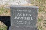 AMSEL Agnes 1921-1993