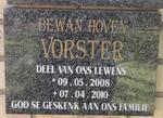 VORSTER Bewan Hoven 2008-2010