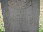 HAMPSON F.J. -1916