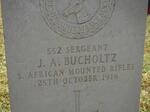 BUCHOLTZ J.A. -1916