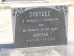 COETZEE Marinus 1915-1973