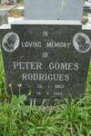 RODRIGUES Peter Gomes 1963-1985