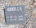 HANEKOM Koekoe C. H. 1941-2009