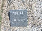 HANEKOM Anna A. E. 1945-