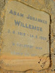 WILLEMSE Adam Johannes 1919-1969