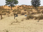 Northern Cape, GORDONIA district, Twee Rivieren, Mier 586_03,  Struis-se-dam, farm cemetery