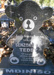 MDINISO Senzokuhle Teddy 2006-2008