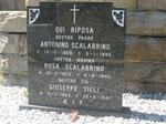 SCALABRINO Antonino 1869-1946 & Rosa 1872-1945 :: SIELI Giuseppe 1865-1947