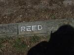 REED ?