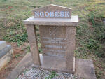 NGOBESE Nombuso P. 1976-2007