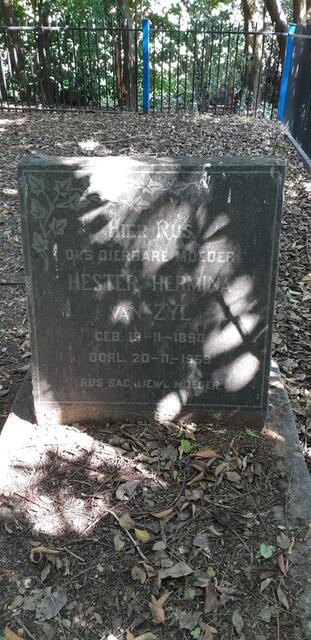 ZYL Hester Hermina, van 1890-1959