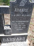 BARNARD Adampie 1957-1959
