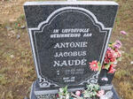 NAUDE Antonie Jacobus 1951-2012