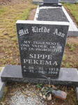 PEKEMA Sippe 1913-1998