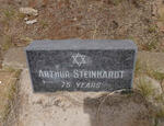 STEINHARDT Arthur