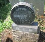 CELE Bongani C. 1973-2003