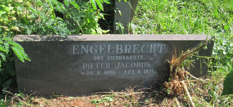 ENGELBRECHT Pieter Jacobus 1899-1971