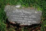 HULSE Violet -1966