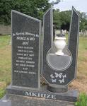 MKHIZE Nomzamo Joy 1996-2010