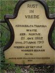 WHITE Adriana Catharina née NORTJE 1862-1919