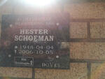 SCHOEMAN Hester 1948-2006
