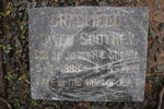 BRADFIELD Owen Southey 1888-1889