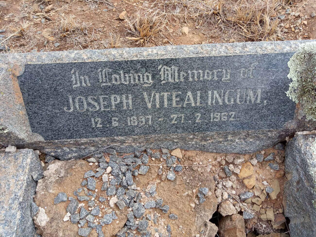 VITEALINGUM Joseph 1897-1962
