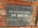 BRUIN Pieter Hendrik, de 1953-
