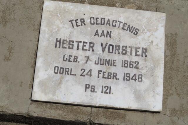 VORSTER Hester 1862-1948