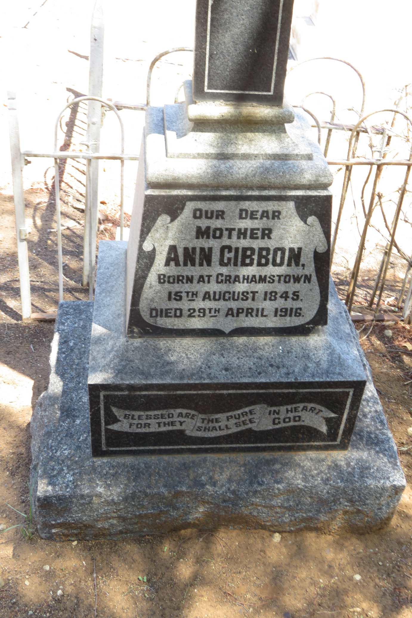 GIBBON Ann 1845-1916
