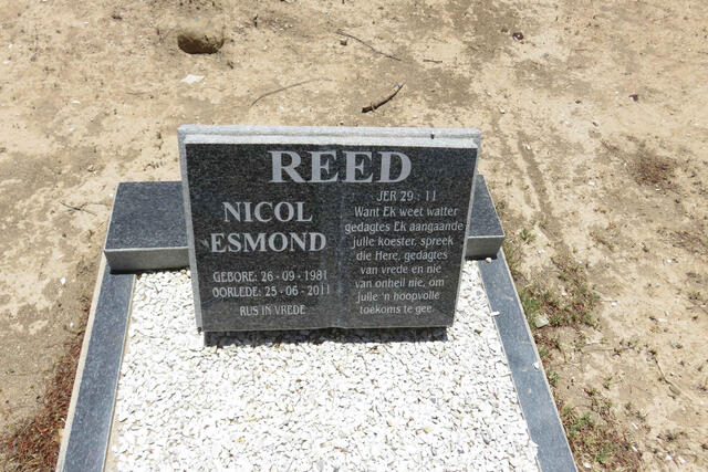 REED Nicol Esmond 1981-2011