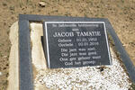 TAMATIE Jacob 1953-2010