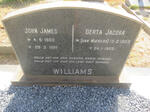 WILLIAMS John James 1903-1992 & Gerta Jacoba VAN NIEKERK 1903-1968