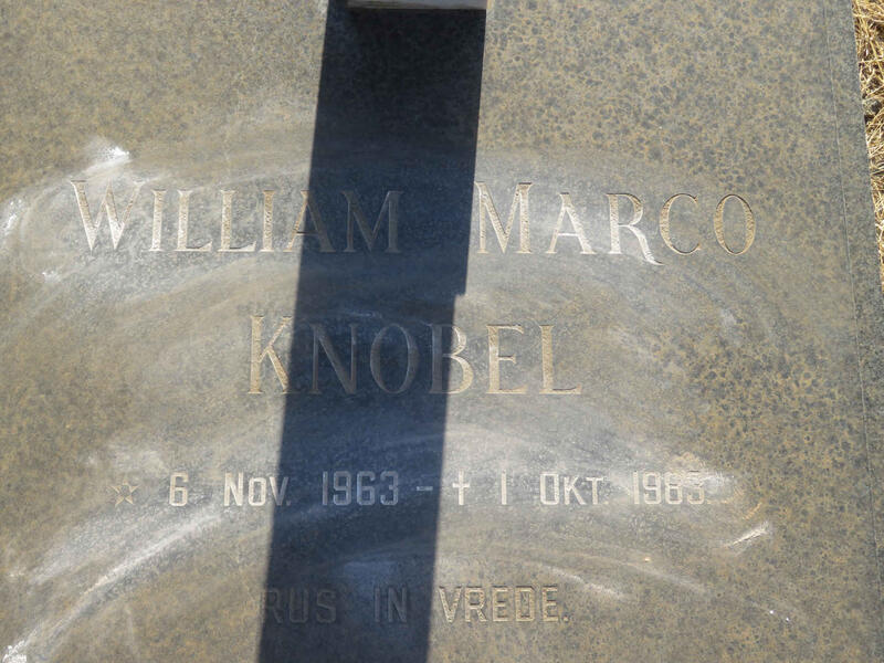 KNOBEL William Marco 1963-1983