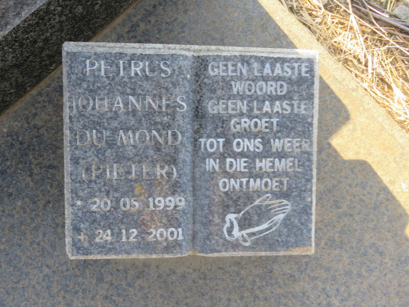 DUMOND Petrus Johannes 1999-2001