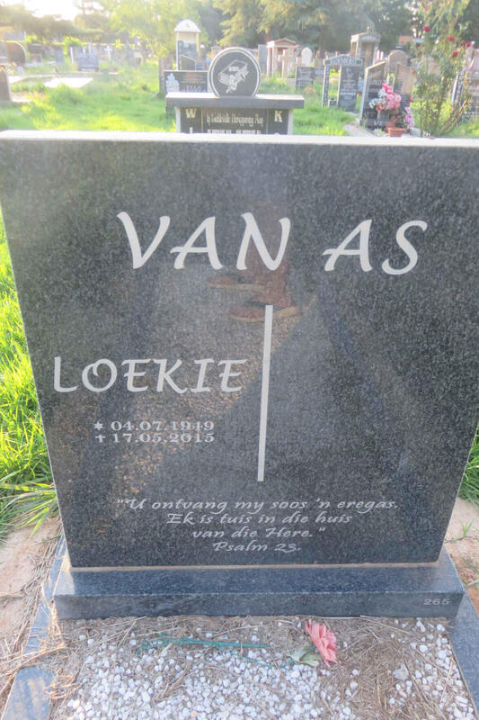 AS Loekie, van 1949-2015