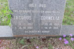 PRINSLOO Jacobus 1885-1962 & Cornelia 1889-1960