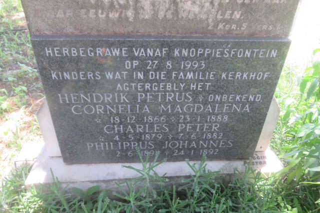 WALT Hendrik Petrus, van der 1836-1911