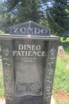ZONDO Dineo Patience 1974-2008