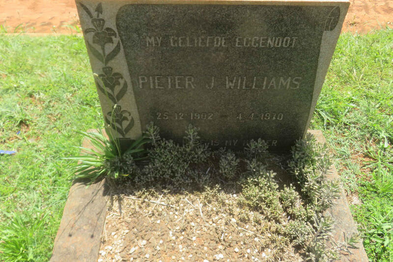 WILLIAMS Pieter J. 1902-1970