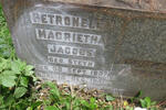 JACOBS Petronella Magrietha nee STEYN 1907-1941