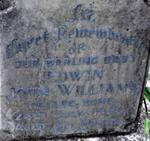 WILLIAMS Edwin John -1950
