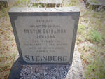 STEINBERG Hester Catharina Johanna nee VERMEULEN 1875-1963