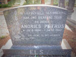 ELS Andries Petrus 1964-1988