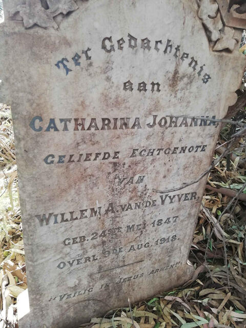 VYVER Catharina Johanna, van de 1847-1918